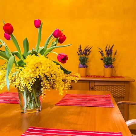 아파트 Lavender Apt. W. Balcony In Old Town 자다르