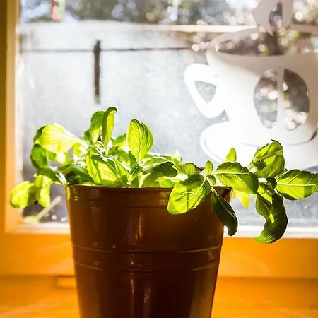 Lavender Apt. W. Balcony In Old Town 아파트 자다르